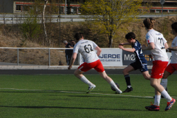 Varfjell - Kårvåg/Havørn 2025